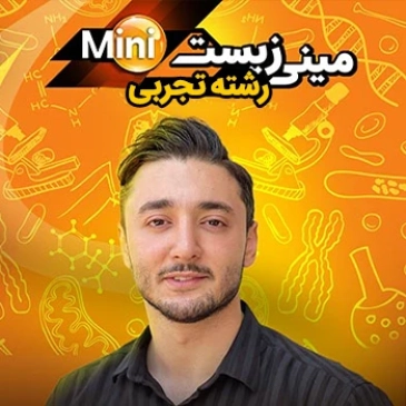 مینی زیست حرف آخر