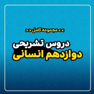 مجموعه کامل دروس تشریحی سال دوازدهم (رشته انسانی)