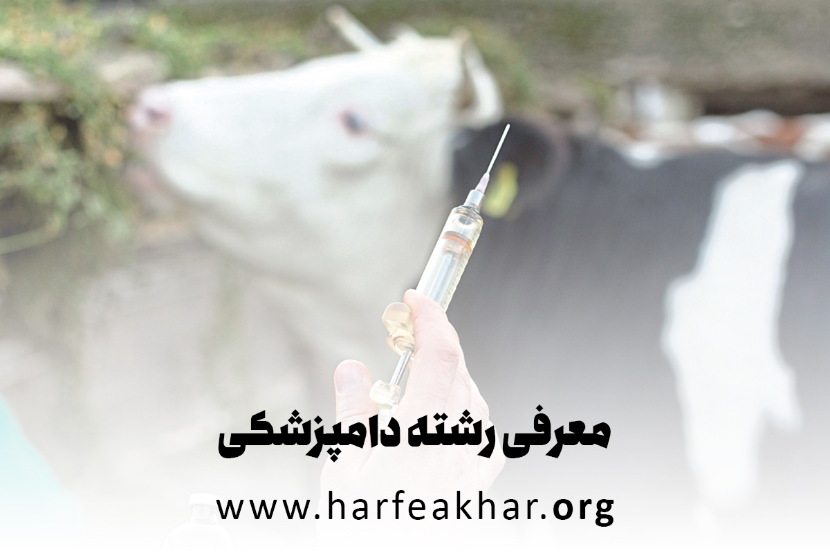 معرفی رشته دامپزشکی