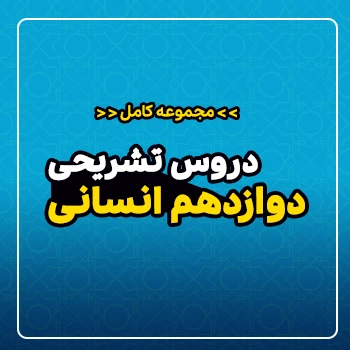 مجموعه کامل دروس تشریحی سال دوازدهم (رشته انسانی)